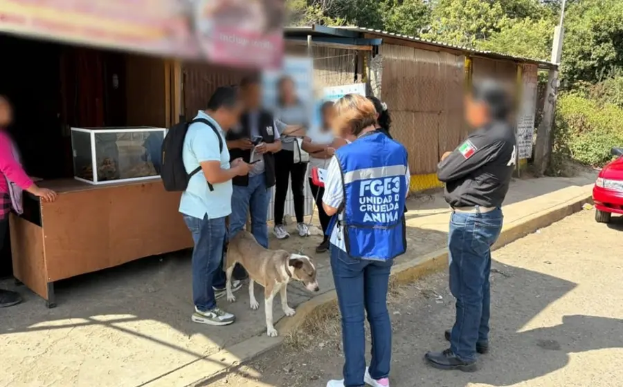 Personal de la Fiscalía realiza el rescate de la perrita Kira, víctima de maltrato animal, en un domicilio de Ejido Guadalupe Victoria.