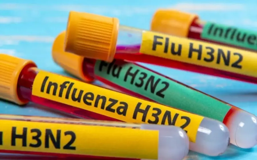 Un especialista de la salud realiza pruebas de vigilancia sanitaria en un laboratorio para la detección del virus de influenza A H3N2 en México.