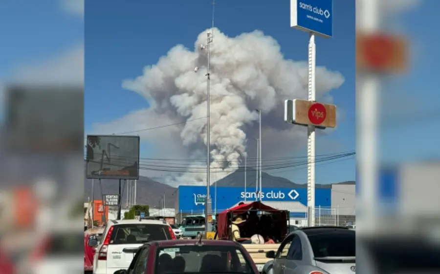 En febrero se cumplirá un año del siniestro forestal que calcinó unas 100 hectáreas de bosque.