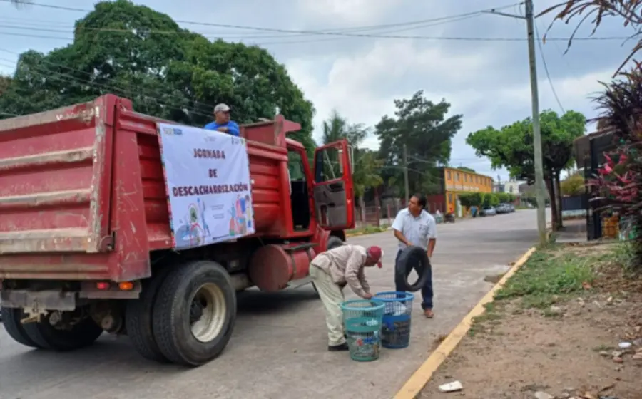 mosquitos_salud