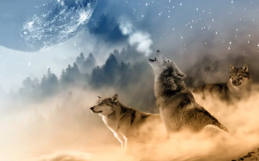 luna_lobo_méxico_qué_es