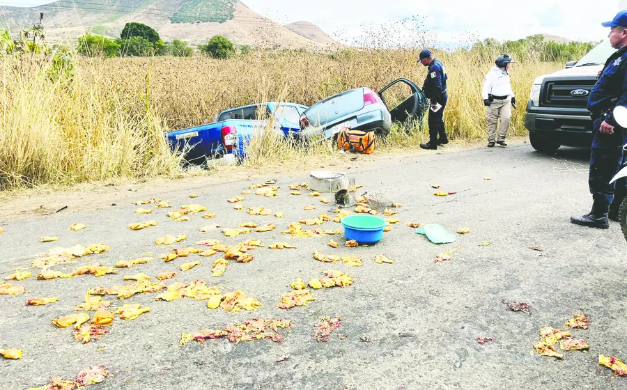 La camioneta trasladaba pollo. El accidente ocurrió en la carretera federal 131.