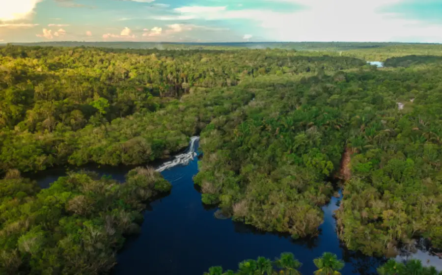 biodiverisdad_méxico