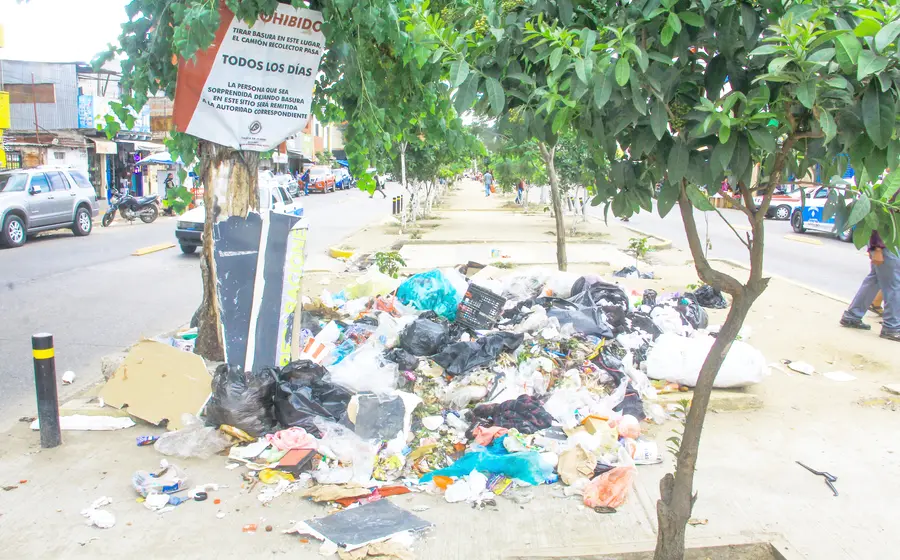 Gran parte de la solución al problema mundial de la basura está en manos de los ciudadanos.