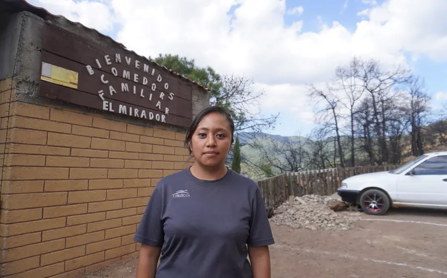  pesar de esta situación, la Sierra Juárez se mantiene como un destino único para quienes buscan desconectarse y reconectar con la naturaleza. 