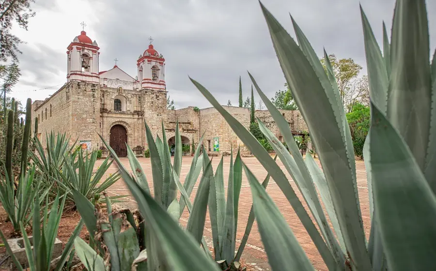 Actividades culturales, deportivas y gastronómicas, se podrán disfrutar esta semana, hasta el 27 de enero, y en la octava el 1 y 2 de febrero.