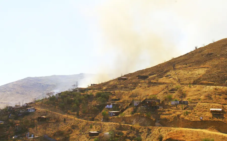 En 2024, Oaxaca registró 274 incendios forestales con afectación de 160 mil 437.52 hectáreas.