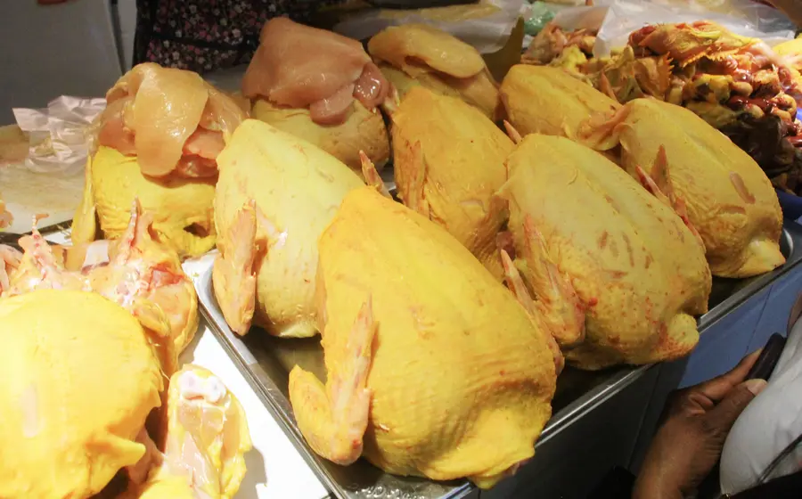 pollo