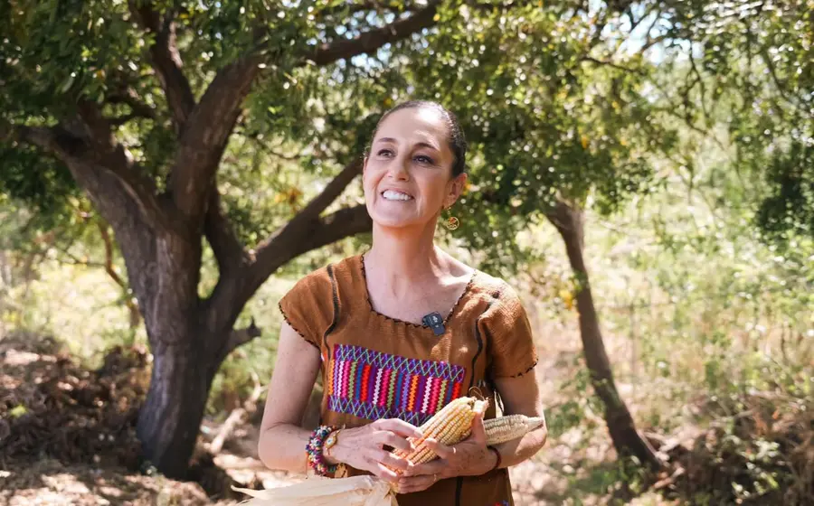“Este maíz es parte de nuestra cultura y la diversidad biológica, lo estamos  protegiendo. Sin maíz no hay país”, expresó la Presidenta Sheinbaum.