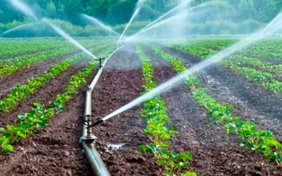 En Oaxaca, el 79% del agua se utiliza para la agricultura y solo el 21% se asigna a la red de agua potable.