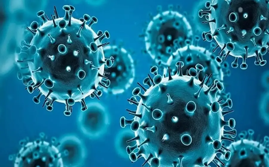 virus