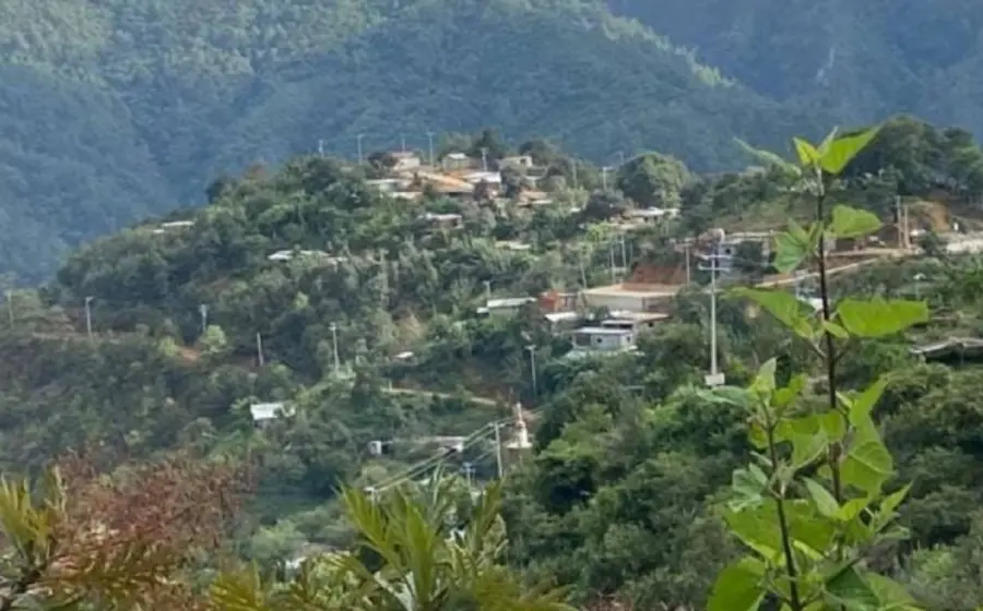 El desmonte atenta contra los manantiales y fuentes de agua.