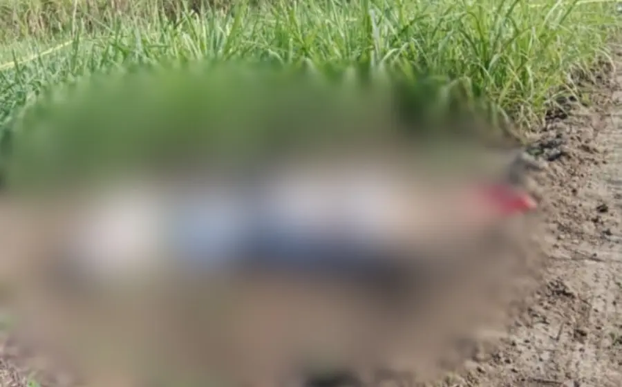 asesinados-veracruz-oaxaca-cfe