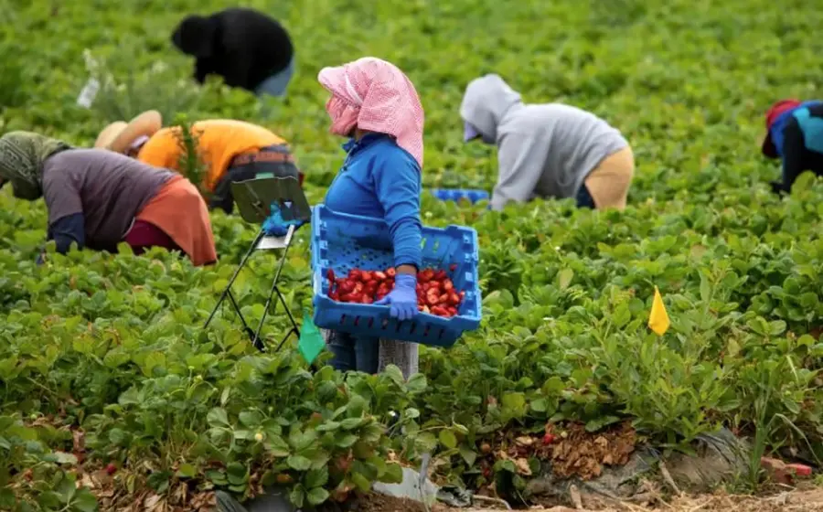 Los ingresos laborales de mexicanos en EU alcanzaron los 373 mil 726 mdd
