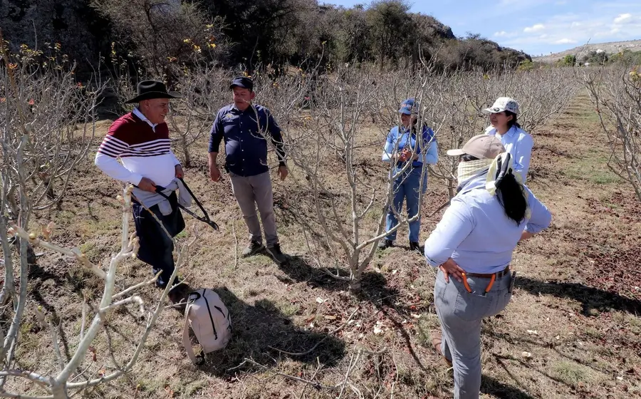 El calor se hizo presente en las primeras semanas de febrero.