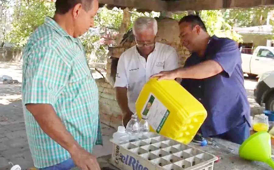 Las acciones de combate se realizan colocando trampas en árboles hospederos principalmente.