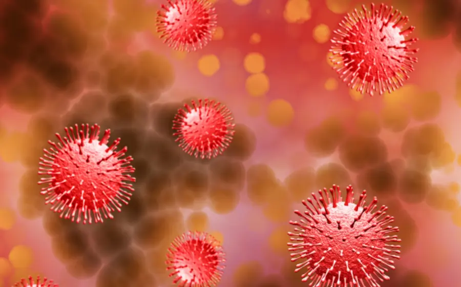 virus_pmox_sintomas_contagios_oaxaca