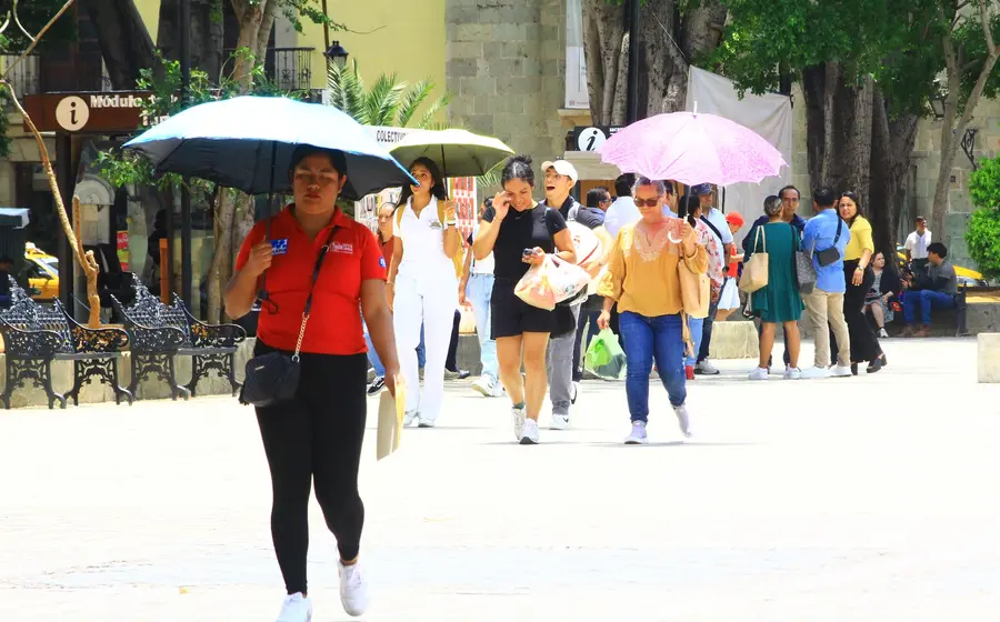 Este año se esperan de 3 a 4 olas de calor.