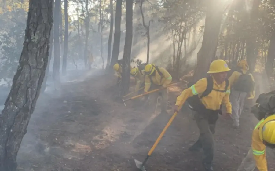 Los tres primeros incendios que reportó Oaxaca en la semana reciente abarcan un daño de 6.48 hectáreas.