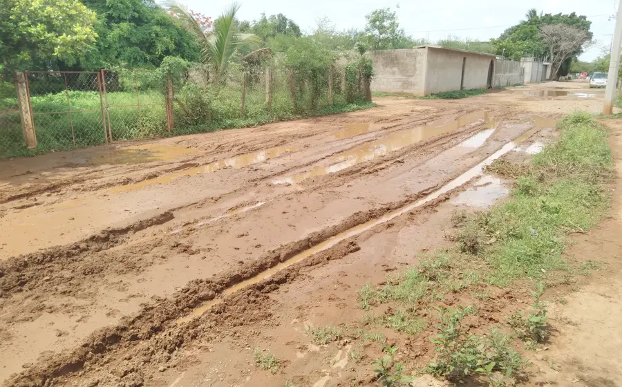 casas_mosquitos
