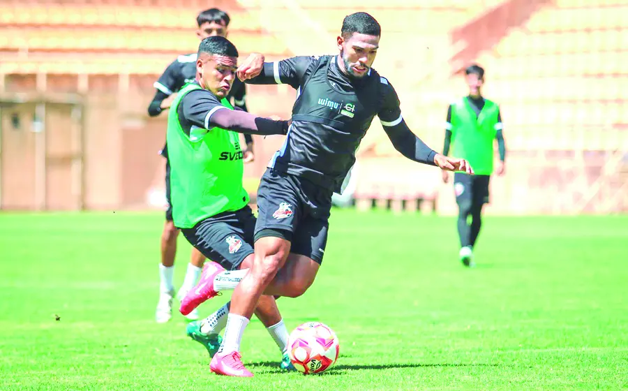 fucho_fut_oaxa_alebrijes