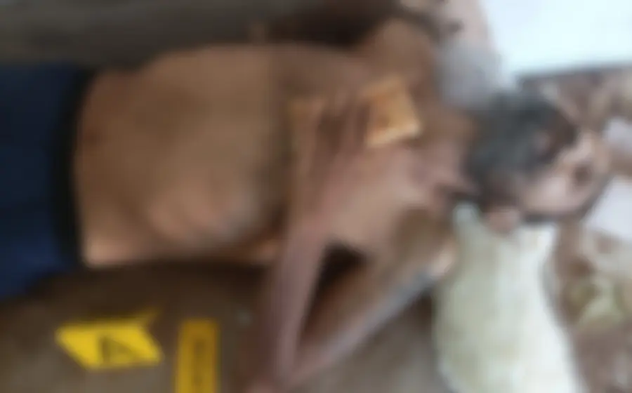indigente_muerte