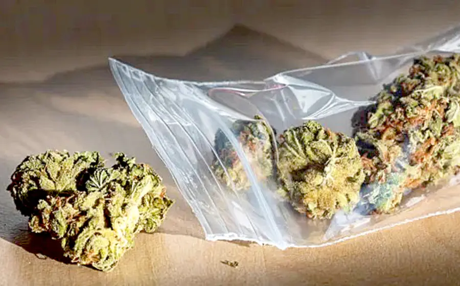 detenido_marihuana