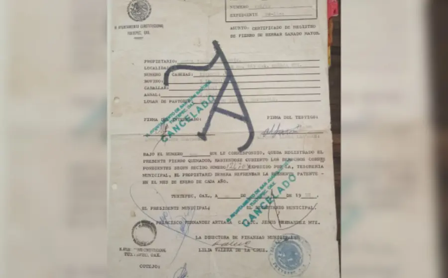 documento_historia