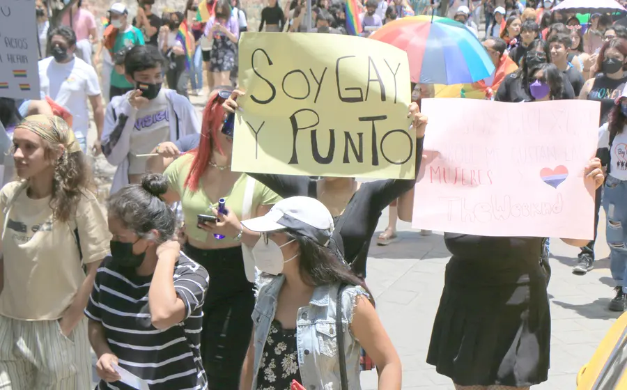 Comisionada-Diversidad-Sexual.jpg