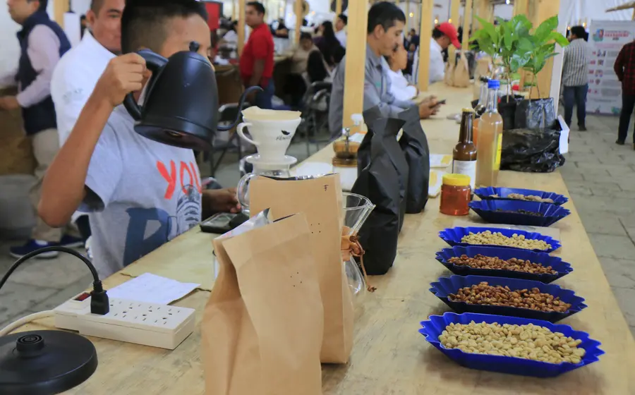Convención-café-2.6mdp-productores-Oaxaca-Sefader-1.JPG