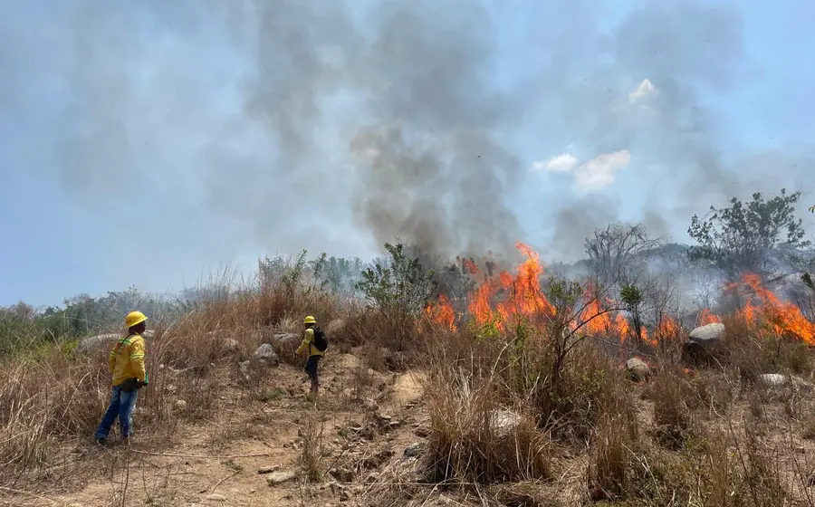Incendios-Oaxaca-183-siniestros-2025.jpg