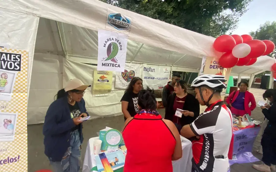 Marea-Verde-Mixteca-mercadita-8-junio-1