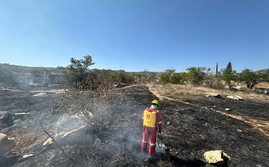 La Mixteca es una región de riesgo en la temporada de incendios forestales.