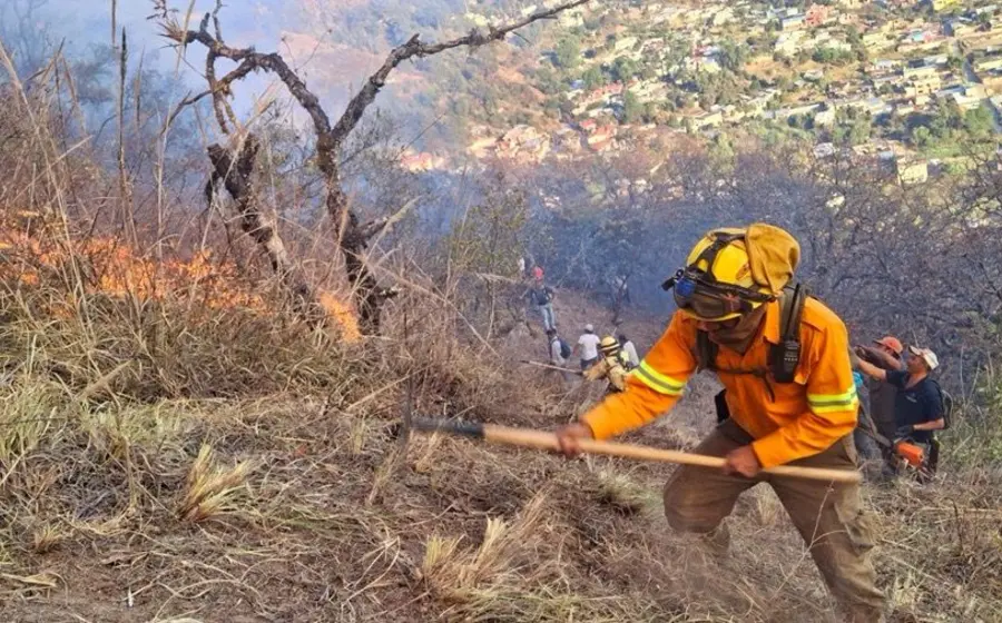 La brigada de combatientes con sede en Tlalixtac de Cabrera, de la Comisión Estatal Forestal (Coesfo) logró liquidar el incendio forestal en Ixtlán de Juárez.