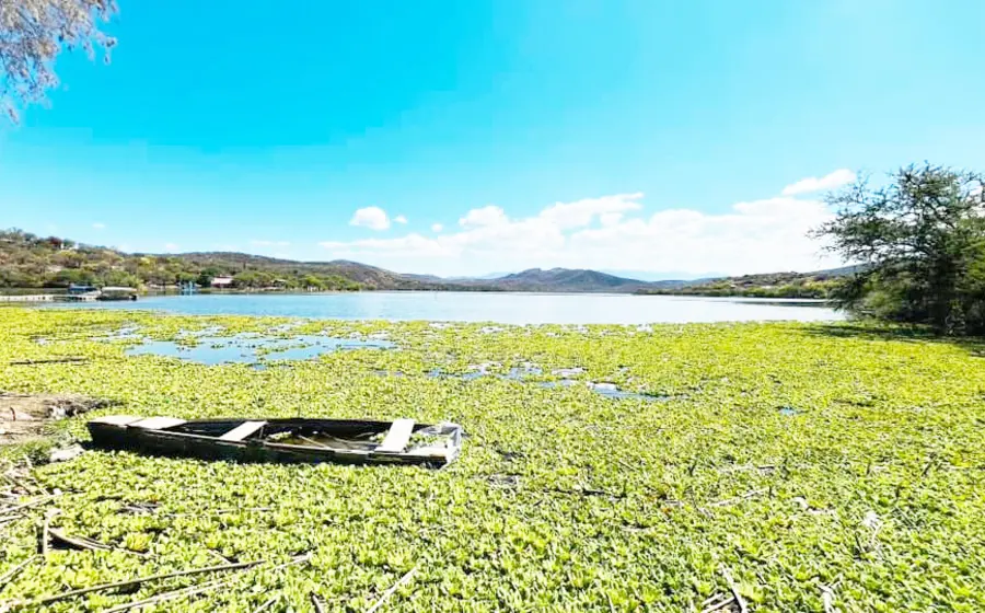 El sistema de agua se restablecerá en los siguientes días al 100% en la colonia Alta Vista de Juárez.