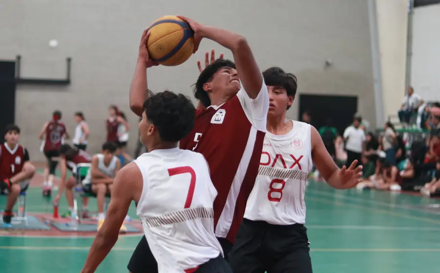 basquet-3x33