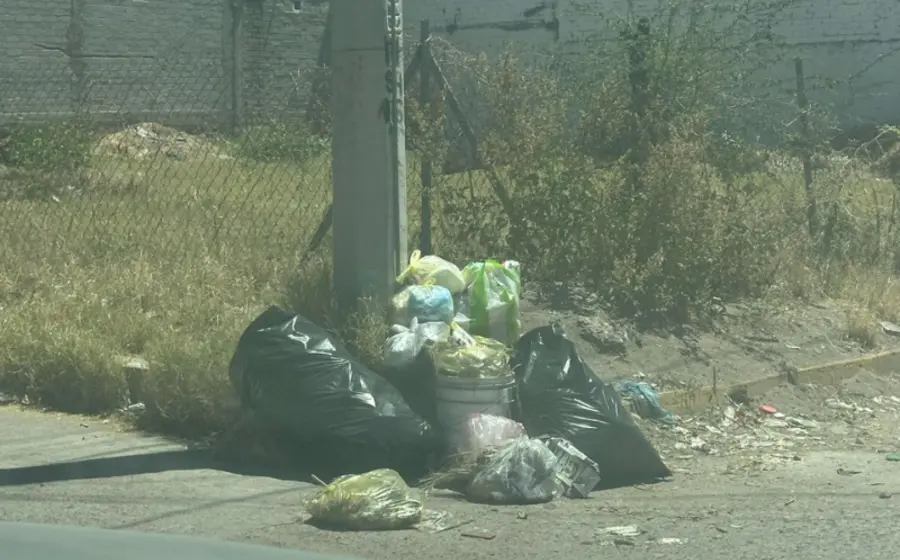 basura-portada