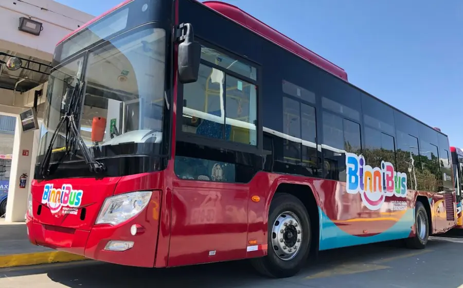 binnibus