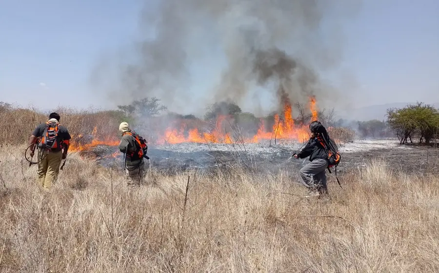 Entre el 21 y el 27 de febrero, la CONAFOR contabilizó 83 incendios forestales.
