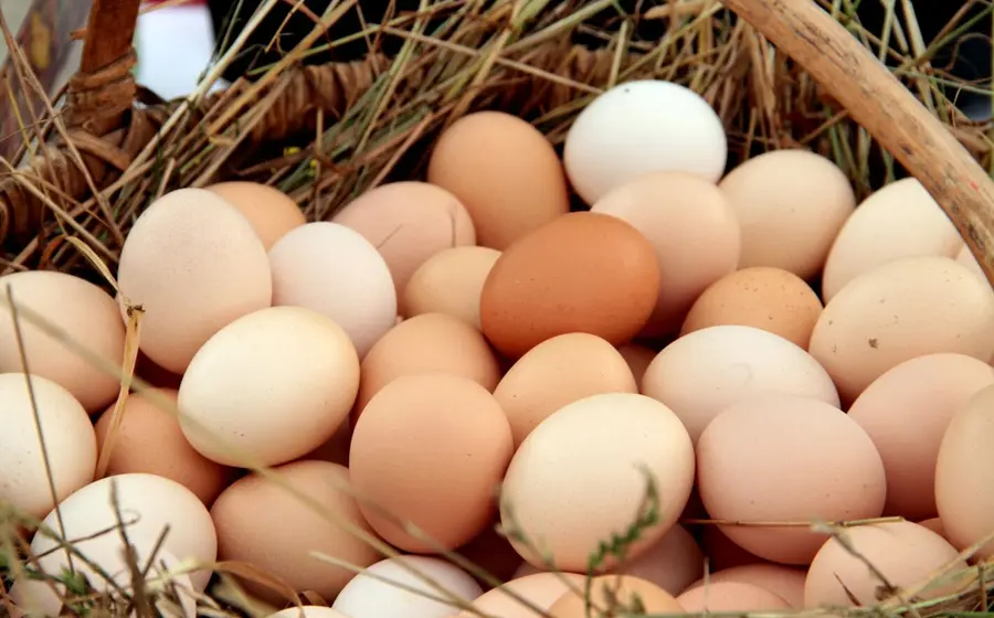 huevos