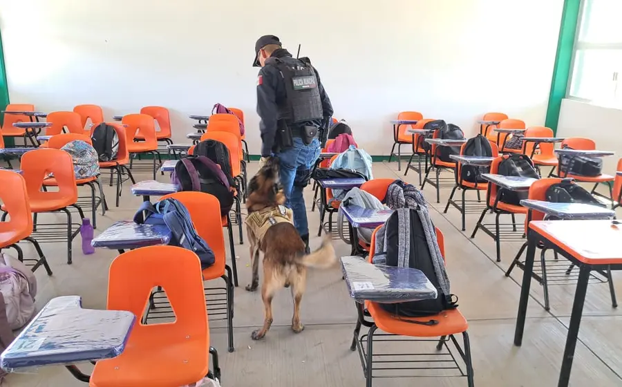perros-droga-huajuapan2
