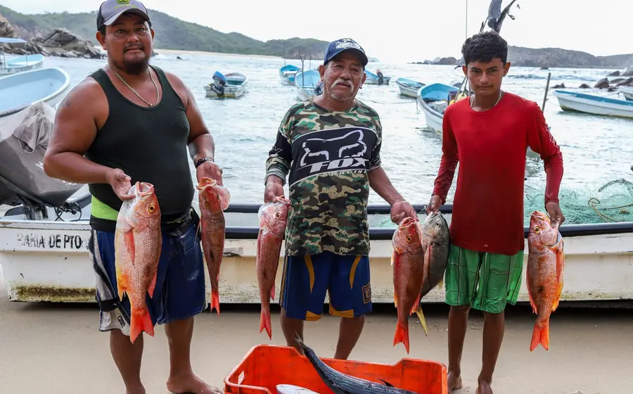 Hay un número indeterminado de pescadores que ejercen el esfuerzo pesquero en sus costas y lagunas.