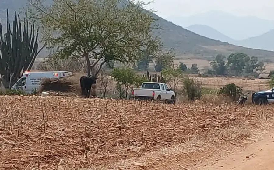 roja-miahuatlan