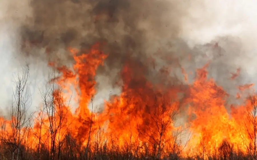 La temporada de incendios se adelantó este 2025.
