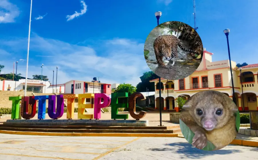 tututepec-portada