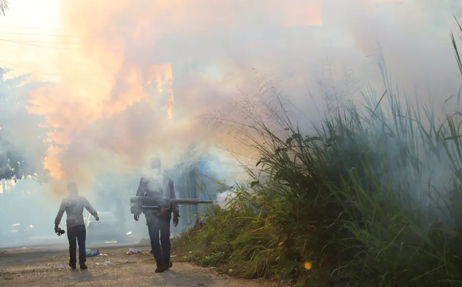 23-casos-dengue-oaxaca-1.JPG 