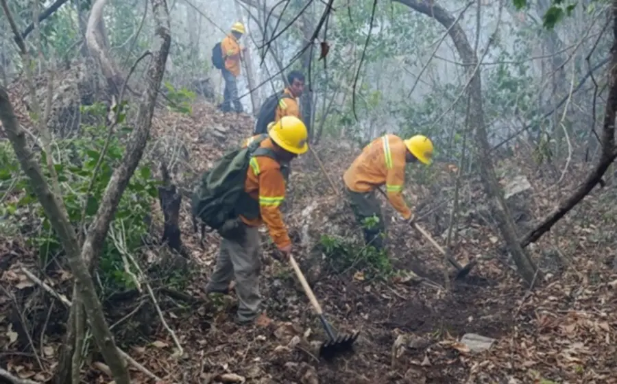 Controlan-incendio-Mazatlán-Flores-1