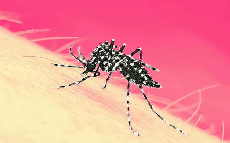 Dengue-Oaxaca-Tuxtepec-más-casos-1.png 