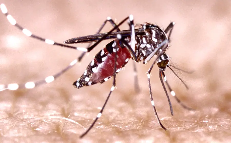 Dengue-Oaxaca-reportan-muerte-sospechosa