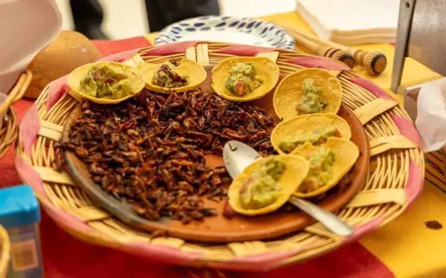 feria-gastronomica-Yucuita2